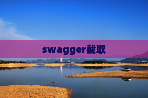 swagger截取
